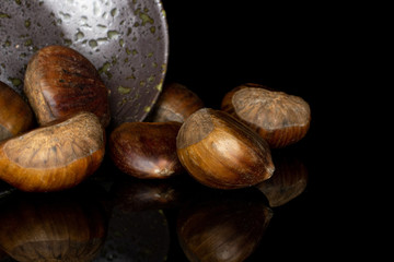 Group of seven whole edible brown chestnut in glazed bowl isolated on black glass