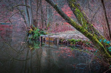 Kleines Stauwehr am See im Zauberwald der Pfalz