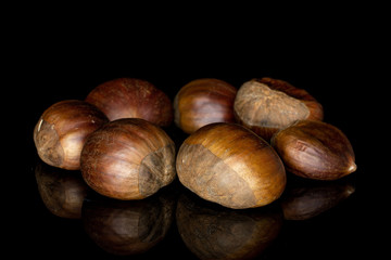 Group of seven whole edible brown chestnut ring isolated on black glass