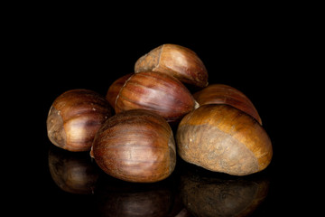 Group of six whole edible brown chestnut stack isolated on black glass