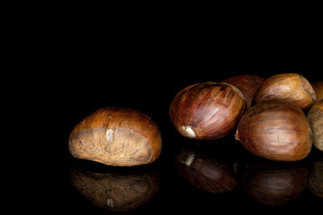 Group of six whole edible brown chestnut isolated on black glass