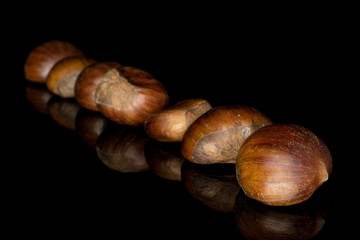 Group of seven whole edible brown chestnut isolated on black glass