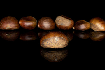 Group of seven whole edible brown chestnut isolated on black glass