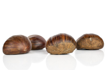 Group of four whole edible brown chestnut isolated on white background