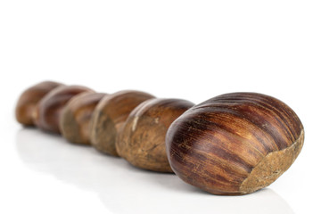 Group of six whole edible brown chestnut isolated on white background