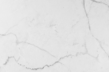 Marble granite white backgrounds 