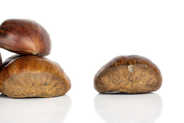 Group of three whole edible brown chestnut isolated on white background