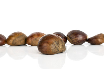 Group of seven whole edible brown chestnut isolated on white background