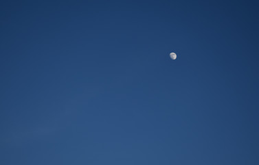 moon in the sky