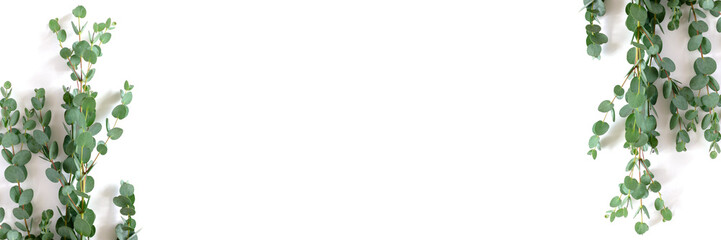 Flatlay of eucalyptus branch with copy space