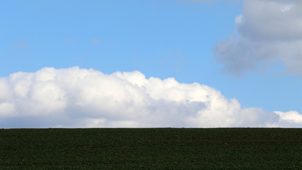 paysage rural au printemps