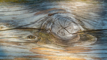 Sunshine on the wood