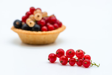 Red currant branch white background isolated