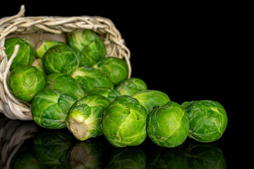 Lot of whole fresh green brussels sprout in bast basket isolated on black glass