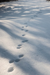 views trekking view first autumn snow