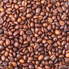The texture of the coffee beans. A close-up.