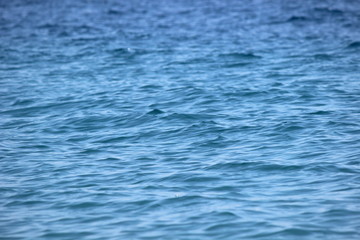 Onde del mare