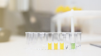 Colored liquids in test tubes