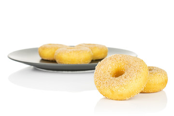 Group of five whole sweet golden mini cinnamon donut on gray ceramic plate isolated on white background