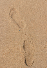 Fototapeta na wymiar Footprints in the sand on beach