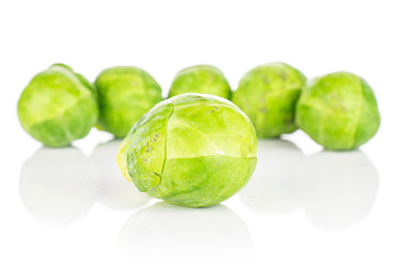 Group of six whole fresh green brussels sprout isolated on white background