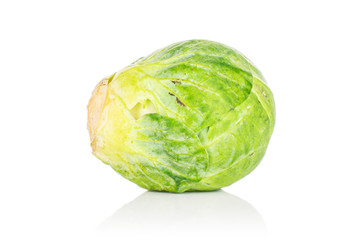 Fototapeta premium One whole fresh green brussels sprout isolated on white background