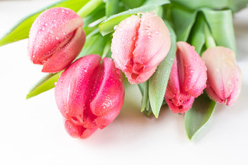 Fototapeta premium Red tulips on a light background. The concept of a holiday, celebration, women's day, spring. Flat lay, top view, copyspace. Background natural vibrant image, suitable for banner, postcard.