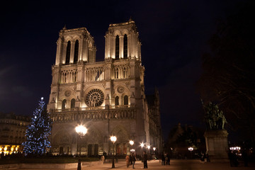 Fototapeta na wymiar Notre Dame at night Paris France
