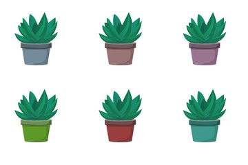 Set of Aloe vera vector illustration on white background. Green leaf aloe vera. Potted plant white background. Isolated vector illustration.