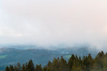 Morgennebel über Schwarzwaldlandschaft 