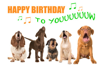 Group of dogs with various breeds looking up singing on a white background with the text Happy...