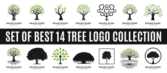 Fototapeta set of best tree logo collections, perfect for company logo or branding. obraz