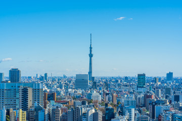 Fototapeta na wymiar 東京 文京区から見たスカイツリー Tokyo Skytree Symbol
