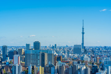 Fototapeta na wymiar 東京 文京区から見たスカイツリー Tokyo Skytree Symbol