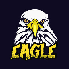 eagle head mascot logo design, esport logo for team_vector eps10