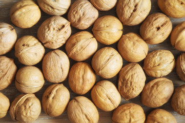 Walnut. proper nutrition, nut in the shell. background for design. background, screen saver. photo of food.