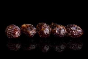 Group of five whole dry brown date fruit isolated on black glass