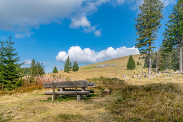 Fototapeta premium Schwarzwald ist ein sehr schönes Wander- und Erholungsgebiet