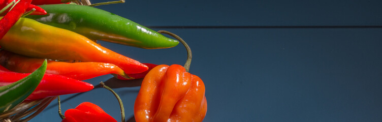 Chilli pepper, different types and colors, with copy-space and blue background