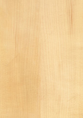 Closeup real natural wood grain of veneer background and texture, Pattern for decoration. Blank for design. Use for select material idea decorative furniture surface. Exotic veneer material.