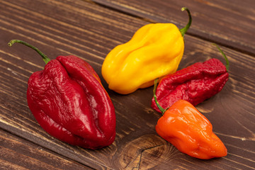 Group of four whole hot chili pepper on brown wood