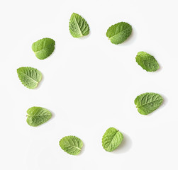 Green mint leaves in circle frame on white bacground © LumenSt