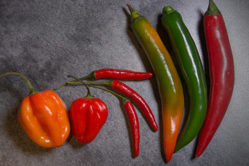 Chili pepper, different types and colors, with copy-space, on gray background