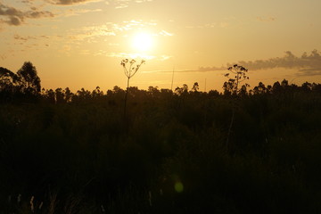 Atardecer en el campo