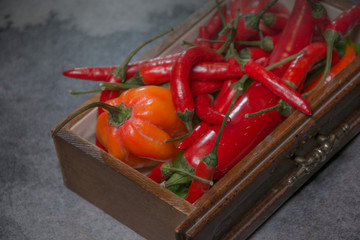 Chili pepper, different types and colors, very original, in drawers