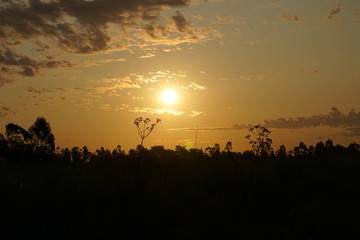 Atardecer en el campo