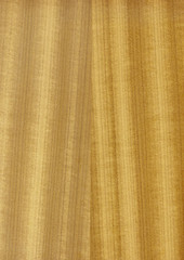 Closeup real natural wood grain of veneer background and texture, Pattern for decoration. Blank for design. Use for select material idea decorative furniture surface. Exotic veneer material.
