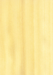 Closeup real natural wood grain of veneer background and texture, Pattern for decoration. Blank for design. Use for select material idea decorative furniture surface. Exotic veneer material.