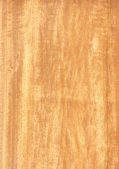 Fototapeta premium Closeup real natural wood grain of veneer background and texture, Pattern for decoration. Blank for design. Use for select material idea decorative furniture surface. Exotic veneer material.
