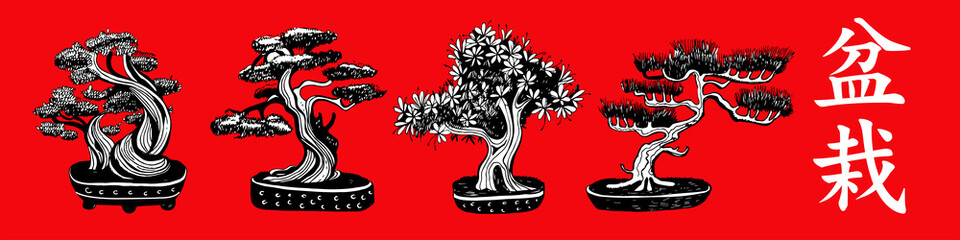 Set of 4 Bonsai trees. Vector hand drawn black and white illustration on a red background. Inscription in Japanese Bonsai characters.